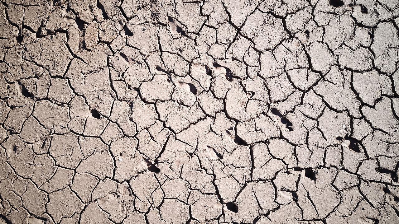 5. 混水漆品牌排行