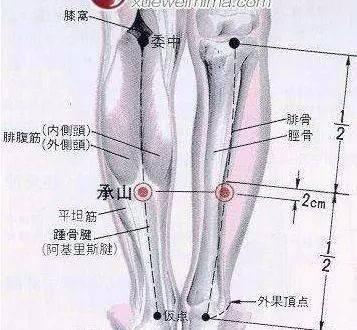人体常见50个穴位位置、作用、按摩手法，图文取穴，纯干货 - 知乎