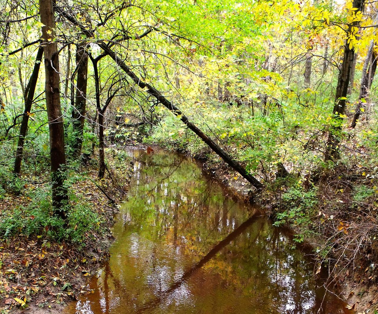 2. 生态宜居小区