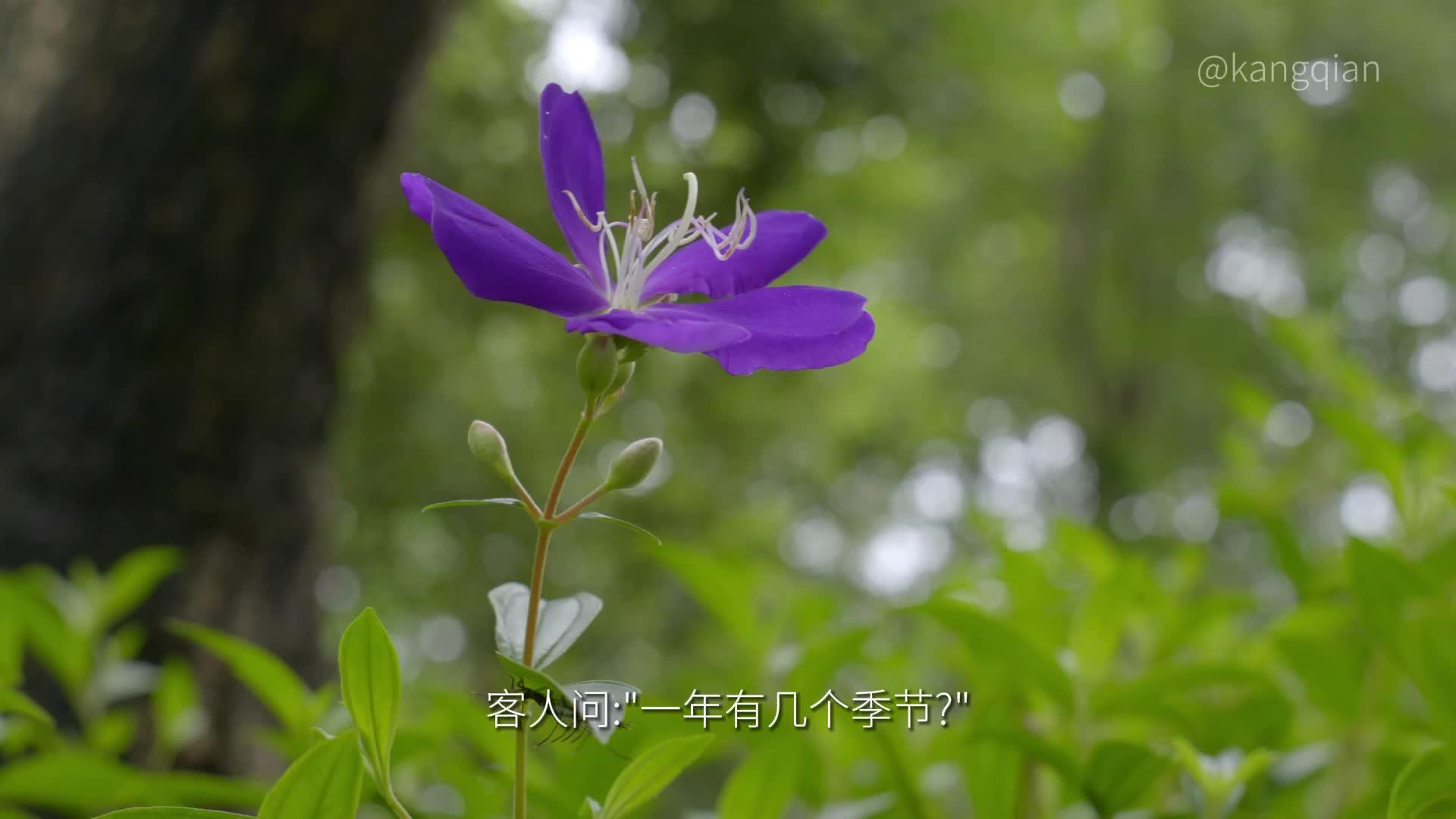 夏虫不可语冰是什么意思？ 知乎