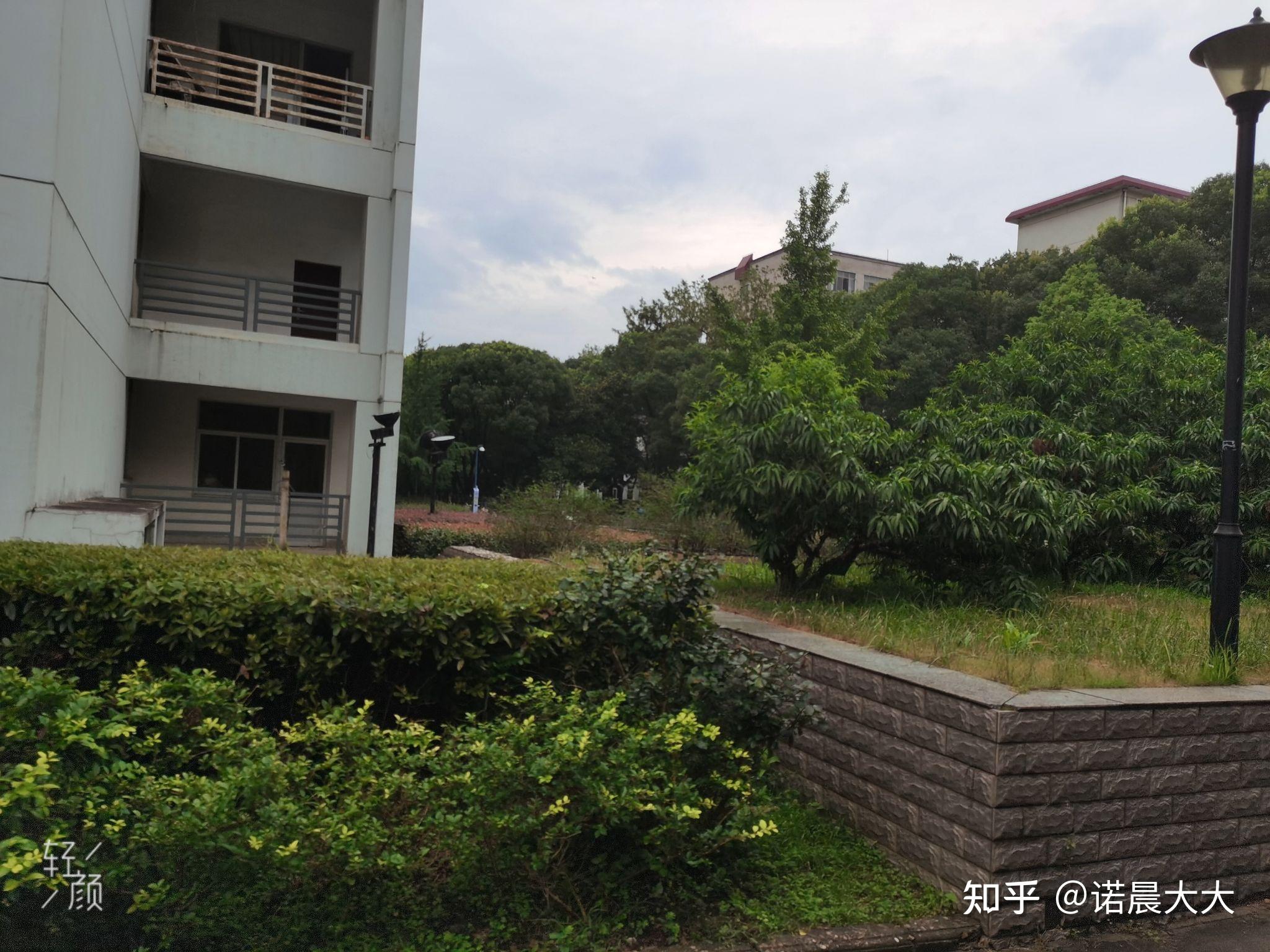 在赣东学院学习是什么体验