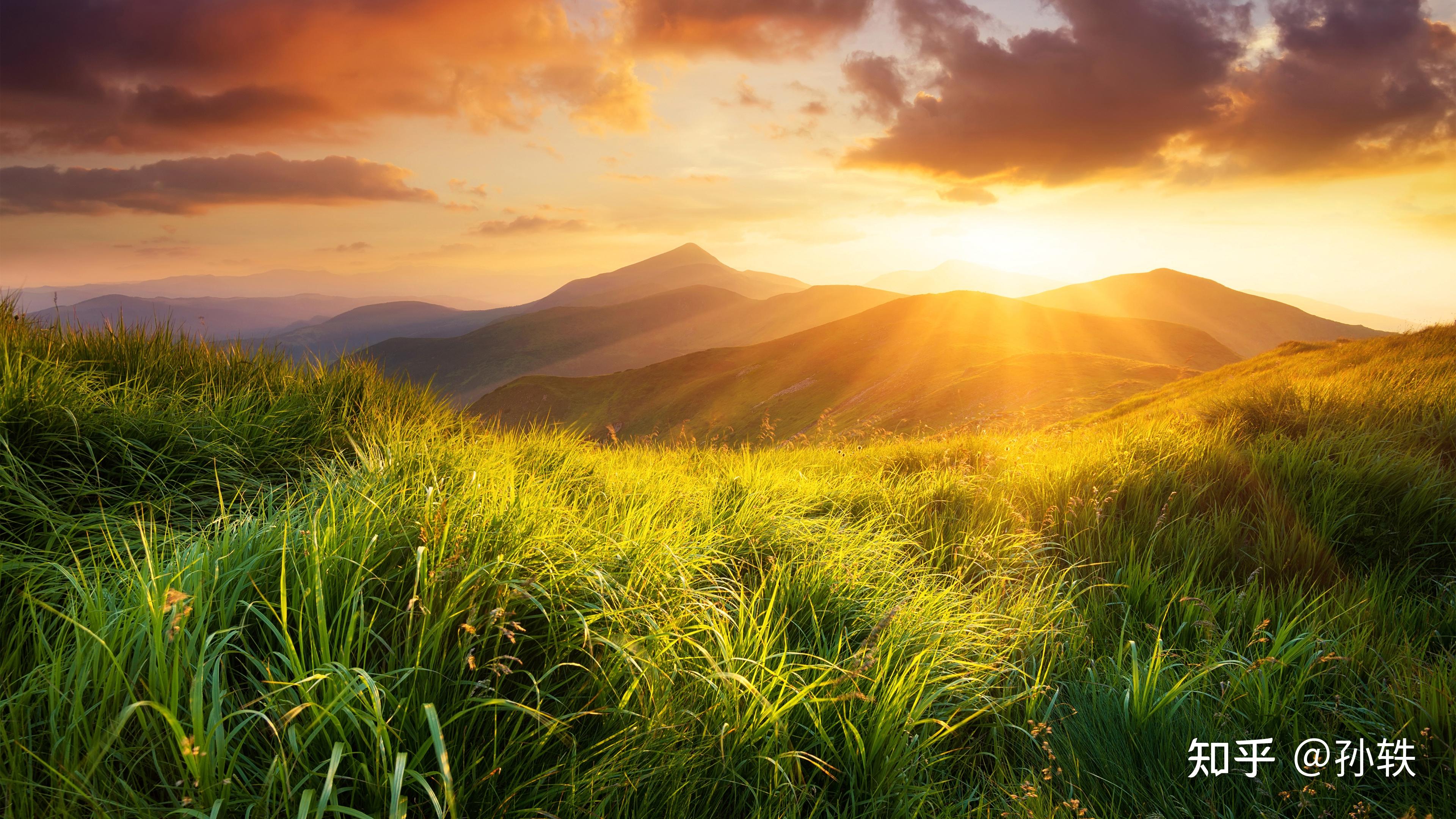 可以分享几个你喜欢的正能量的句子吗