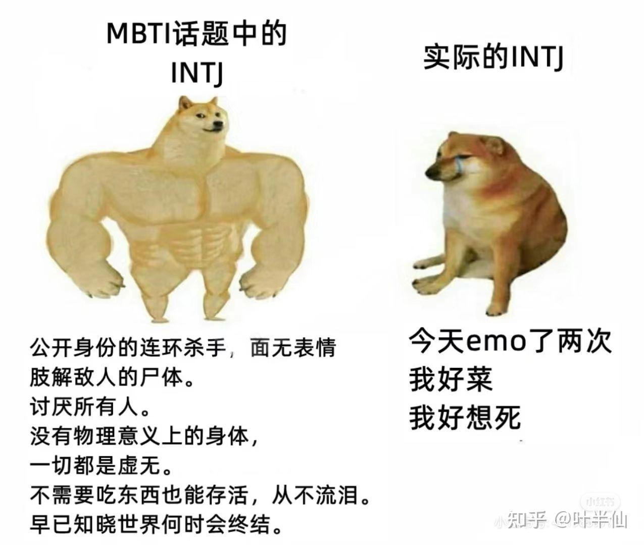 INTJ梗图一览 - 知乎