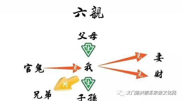 九族图、三亲六戚之说明 - 知乎