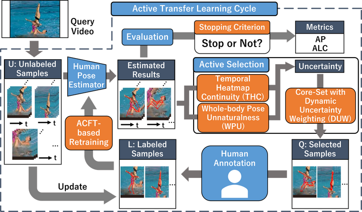 Activity Transfer Vector 【2023年11月10日】 论文分享 - 知乎