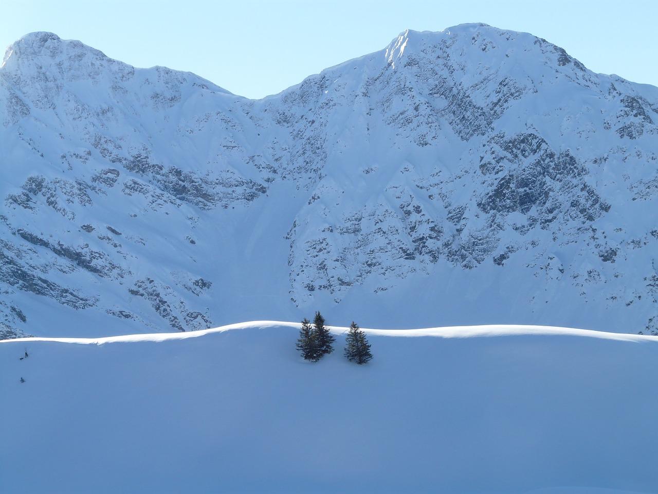 别墅庭院设计指南