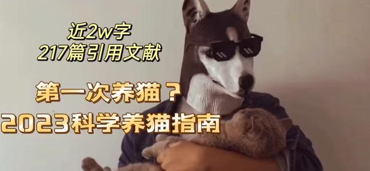 第一次养猫怎么办？2023保姆级科学养猫指南