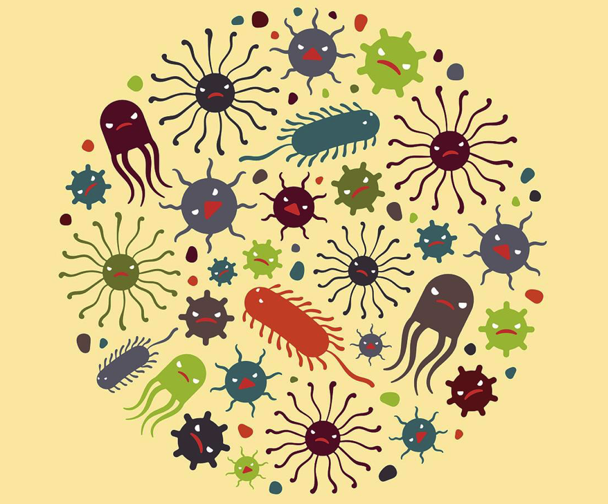 细菌,真菌和病毒有什么区别,抗生素适用于他们当中的哪一个感染?