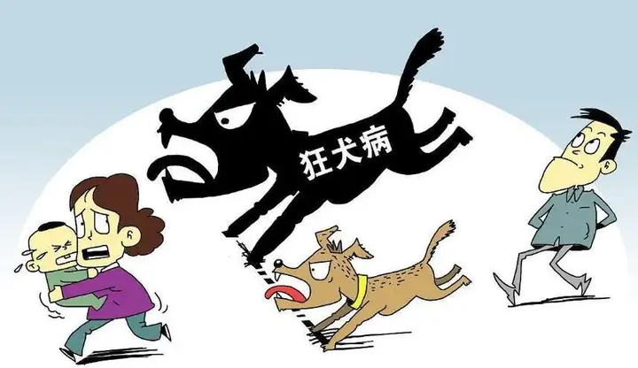 大型犬咬人,主人如何担责 - 知乎