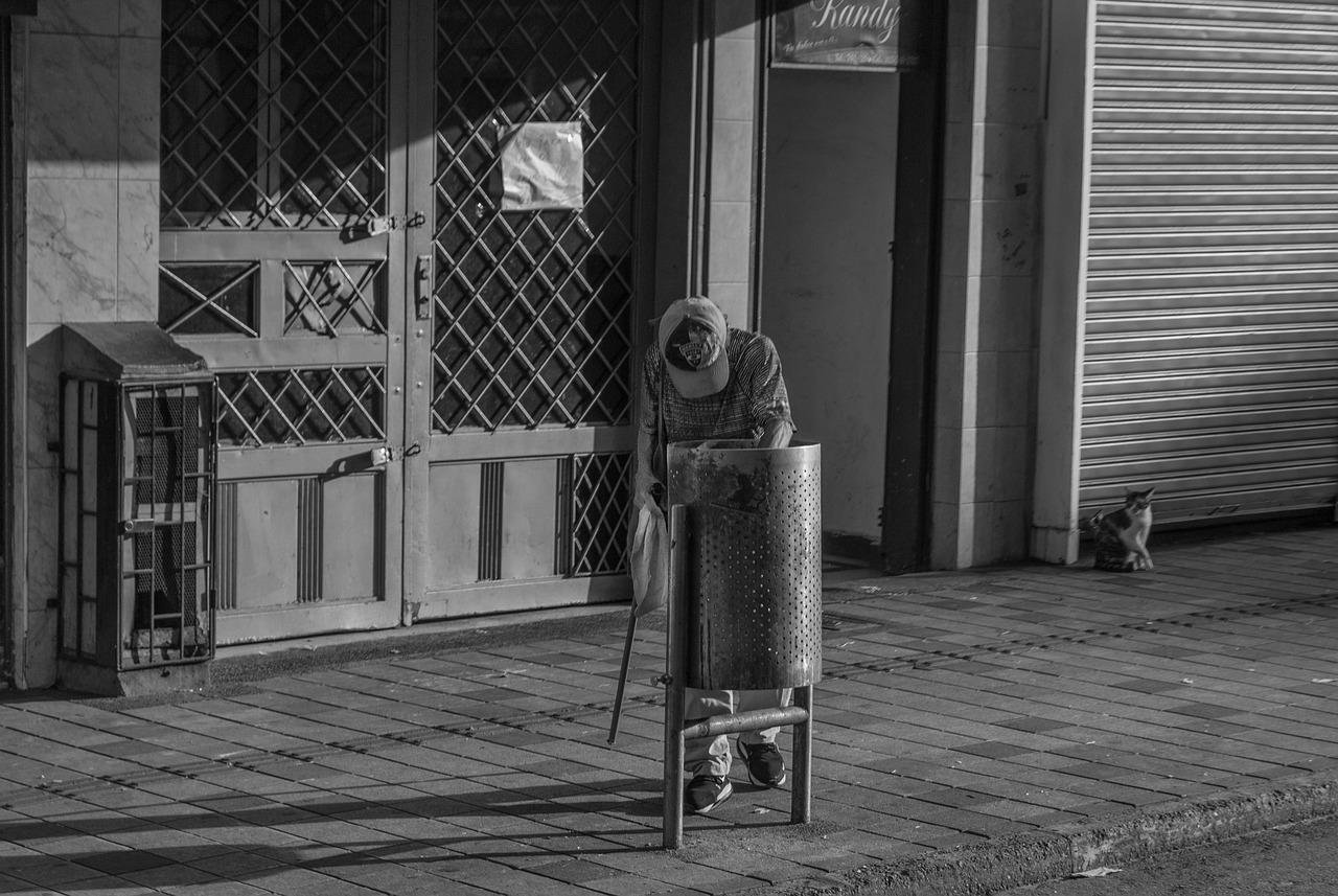 4. 巴里黄檀用途