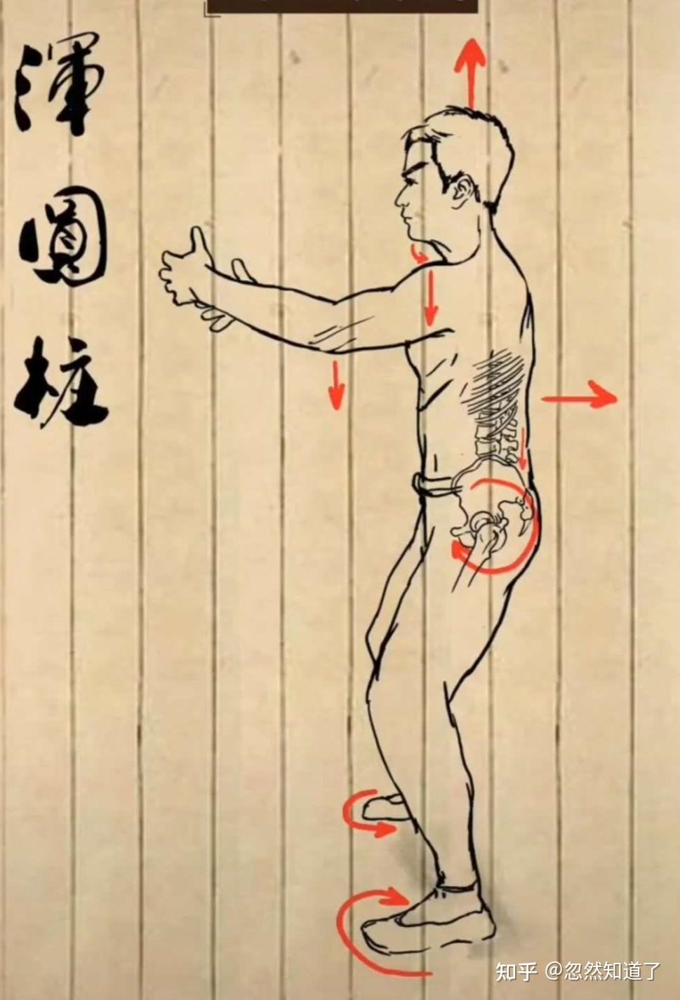 网络上那么多的站桩教程，到底哪种才适合初学者? - 知乎