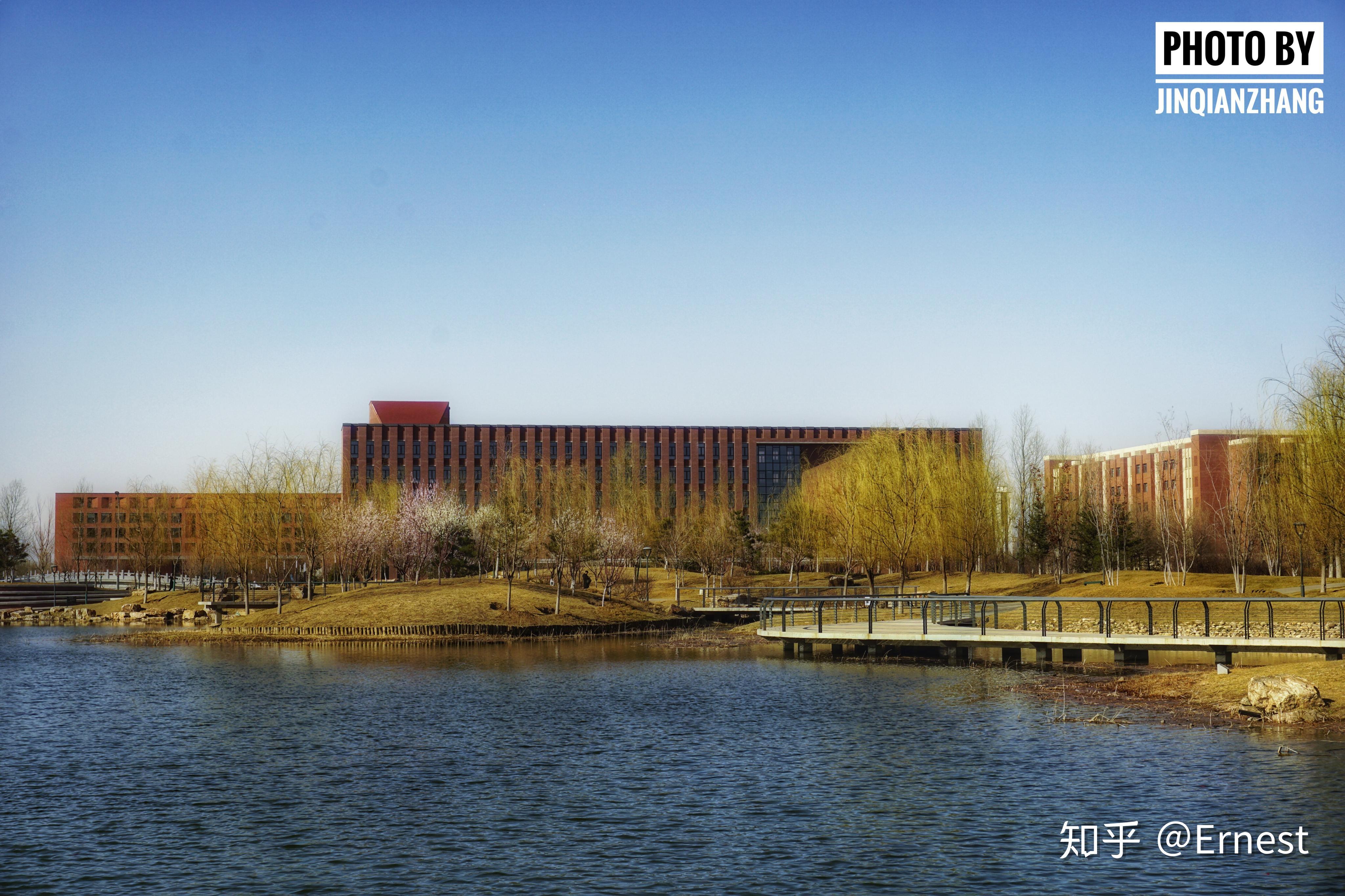 东北大学的校园环境如何