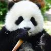user-profile-image