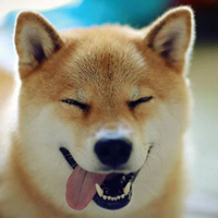 Zhihu profile picture for @indirectly