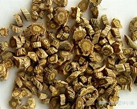 肺气虚,汗流不止!这5味中药,补肺固表,帮你改善体虚出汗多 - 知乎