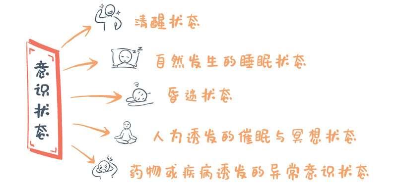 意识到底是什么? - 知乎