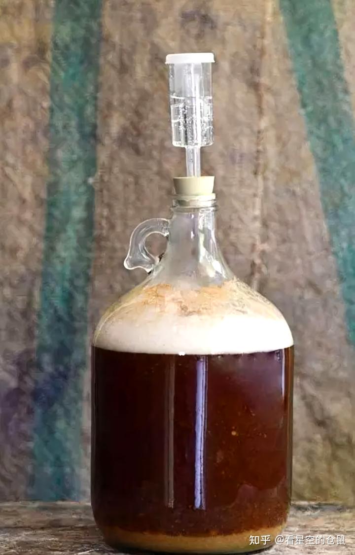 酿酒发酵过程中，除了酵母，还有哪些微生物在偷偷发挥作用？