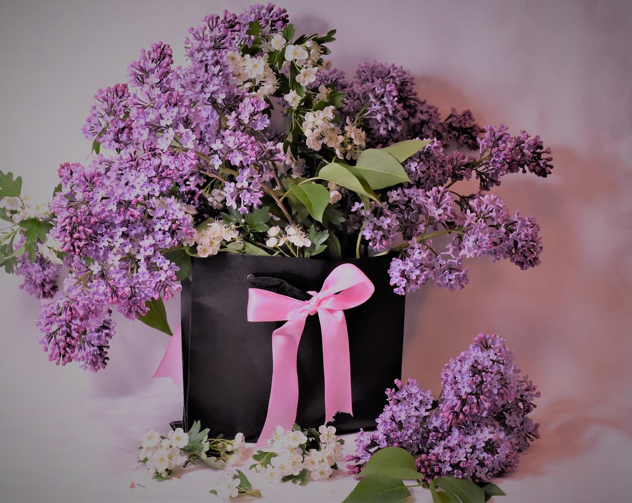 3. 紫丁香学府区