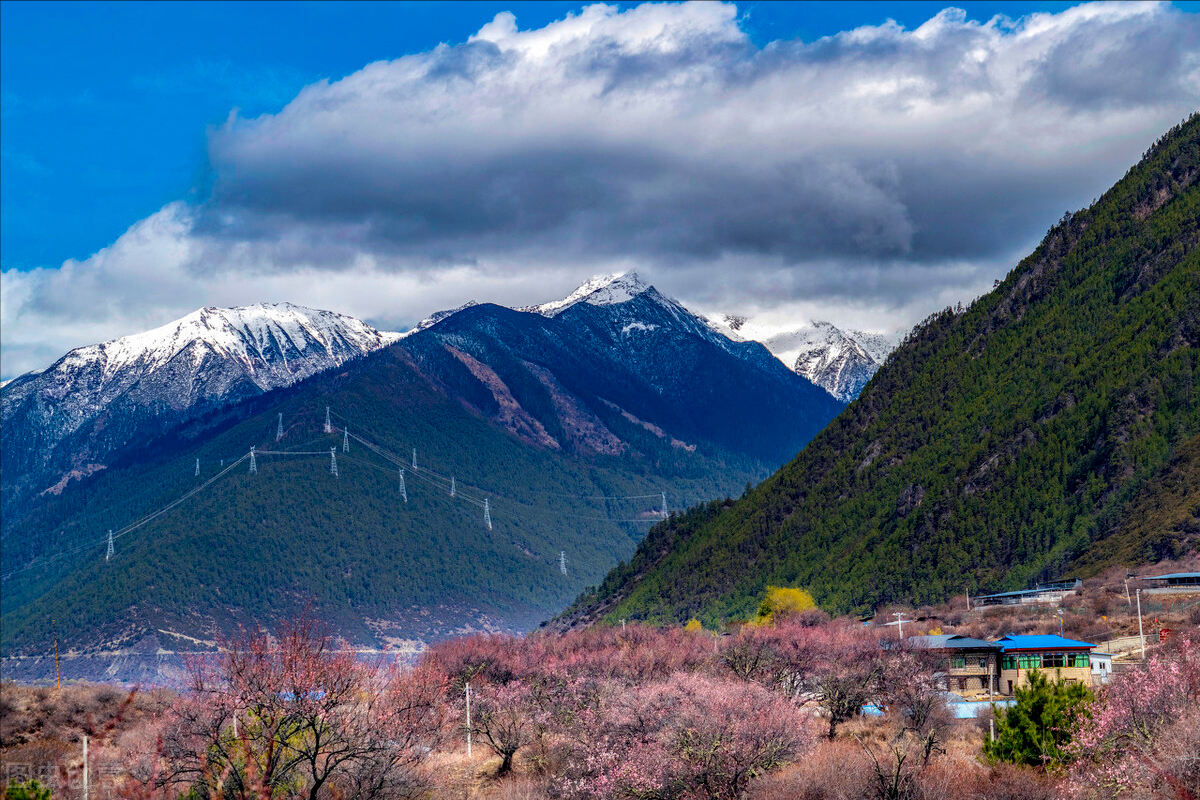 三四月份适合去哪里旅游(三四月份适合去哪里旅游河南)