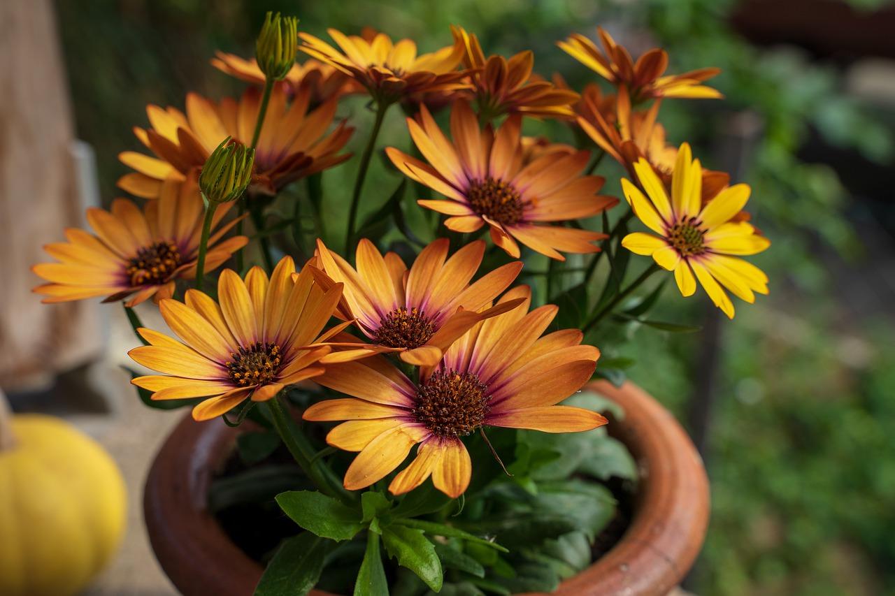 花都陶瓷怎么样