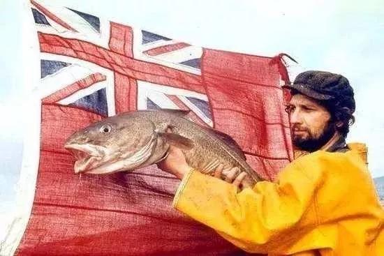 一条鳕鱼如何引发英国与冰岛的三次战争？ - 知乎