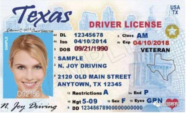 what-is-drivers-license-audit-number-messengerodeb