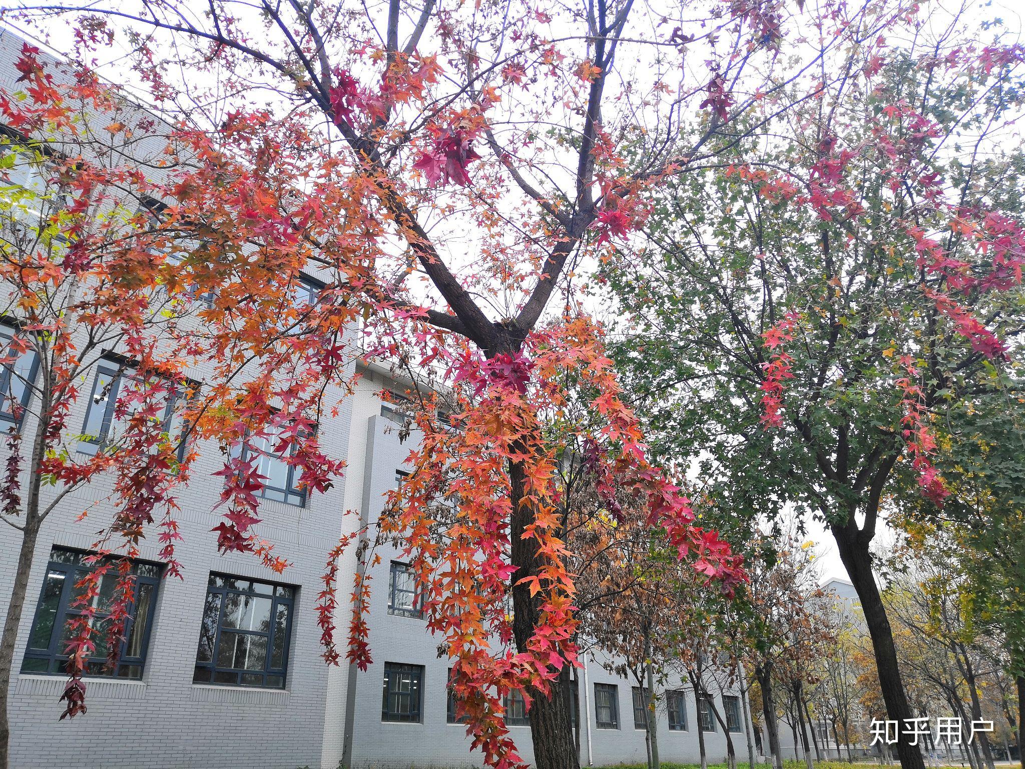 山東財經大學聖井校區宿舍怎麼樣