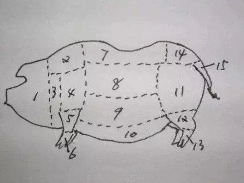 猪肉分割部位有哪些命名标准? - 知乎