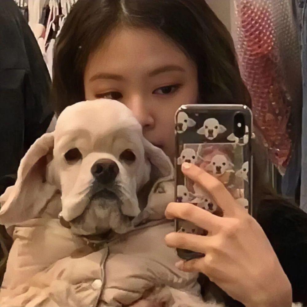 可以发一些真人抱着狗的头像吗