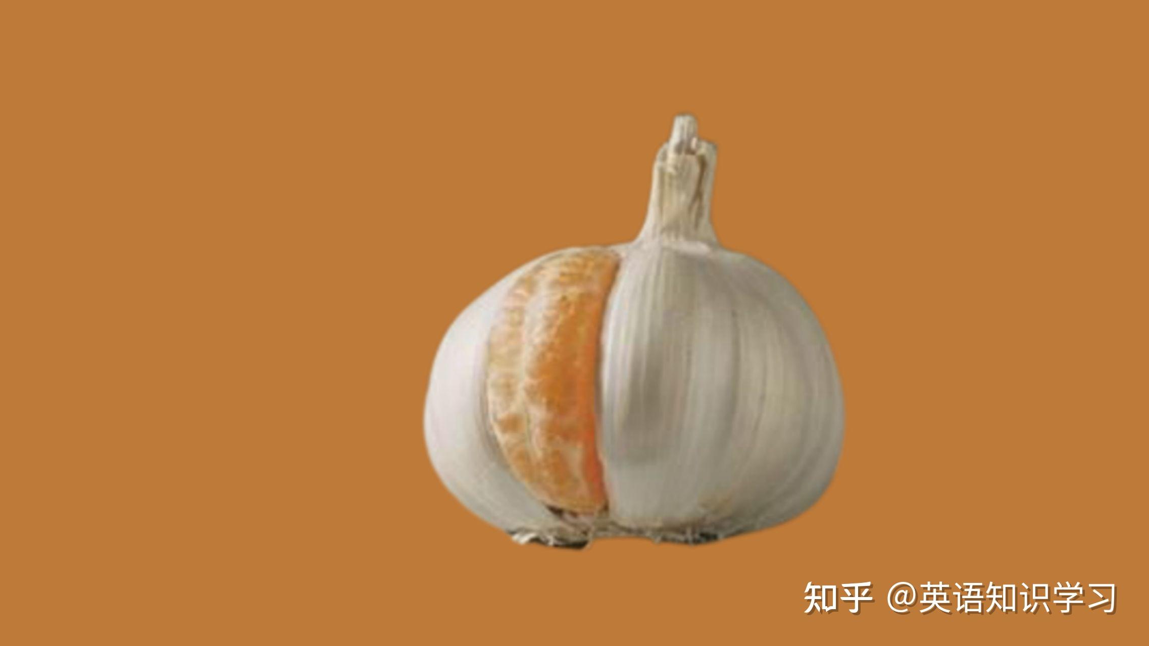 除了 act stupid，还有哪些英文能帮你“装蒜”？