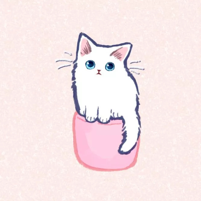 大学宿舍群头像? - 知乎