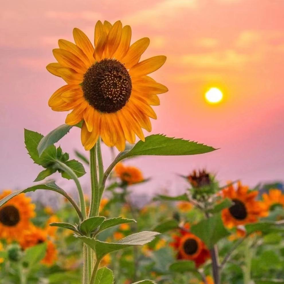 该不该和长时间不换微信头像微信名字的女生恋爱? - 知乎