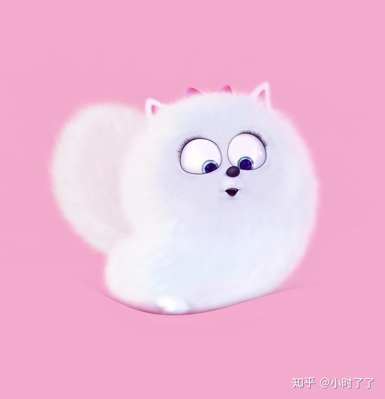 求爱宠大机密小白狗啾啾的头像