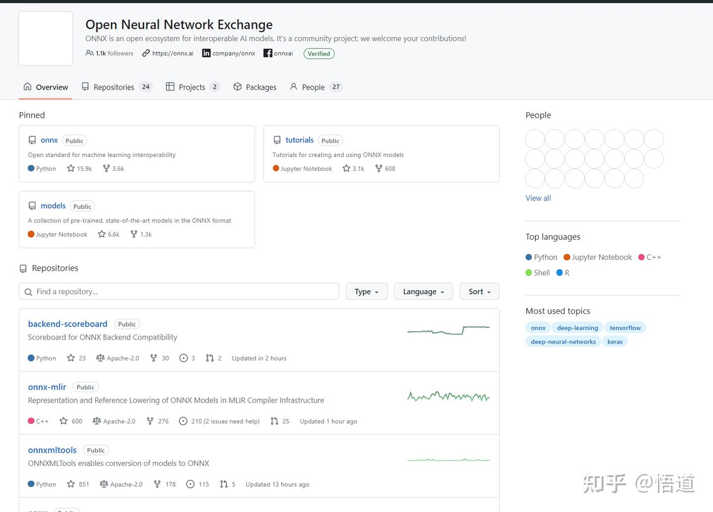 Onnx Runtime 1.20.1