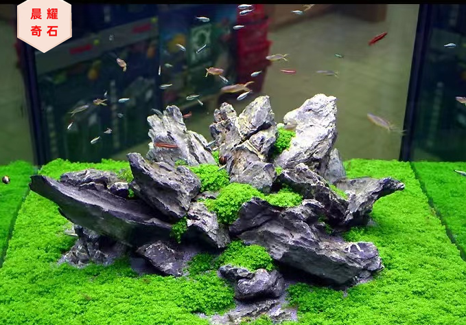 广东酸洗青龙石-水族造景小英石-青龙石价格石多少? - 知乎