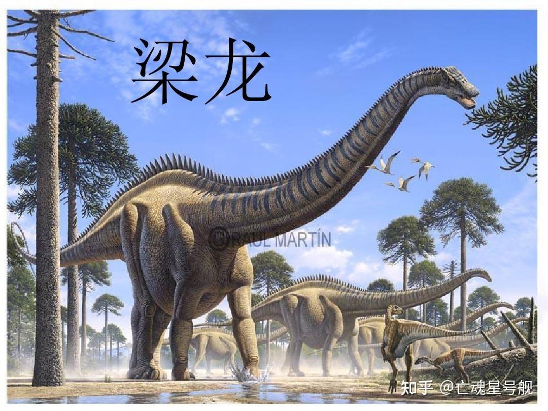 如何区分梁龙雷龙震龙腕龙马门溪龙