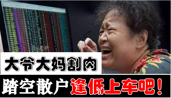 大爷大妈割肉了踏空散户逢低上车吧
