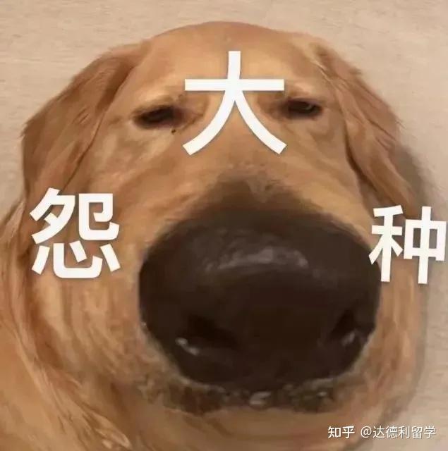 干货| “栓Q”的英文是“Thank you”? - 知乎