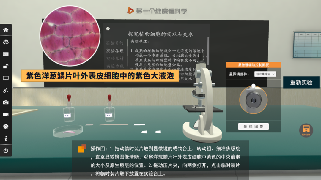 【高中生物】液泡知识大全，虚拟仿真资源自取！ - 知乎