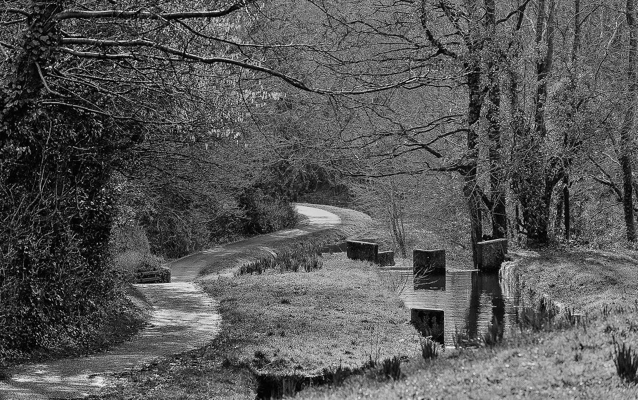 废弃的瓶子有什么用处