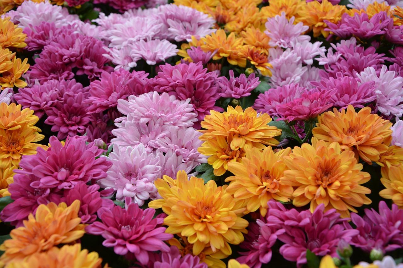 4. 户型亮点解析