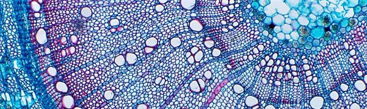 真正的革命性技术 生物计算 或将彻底改变人们的生活方式 知乎