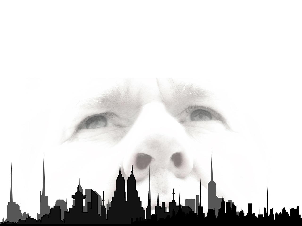 5. 山景稀缺资源