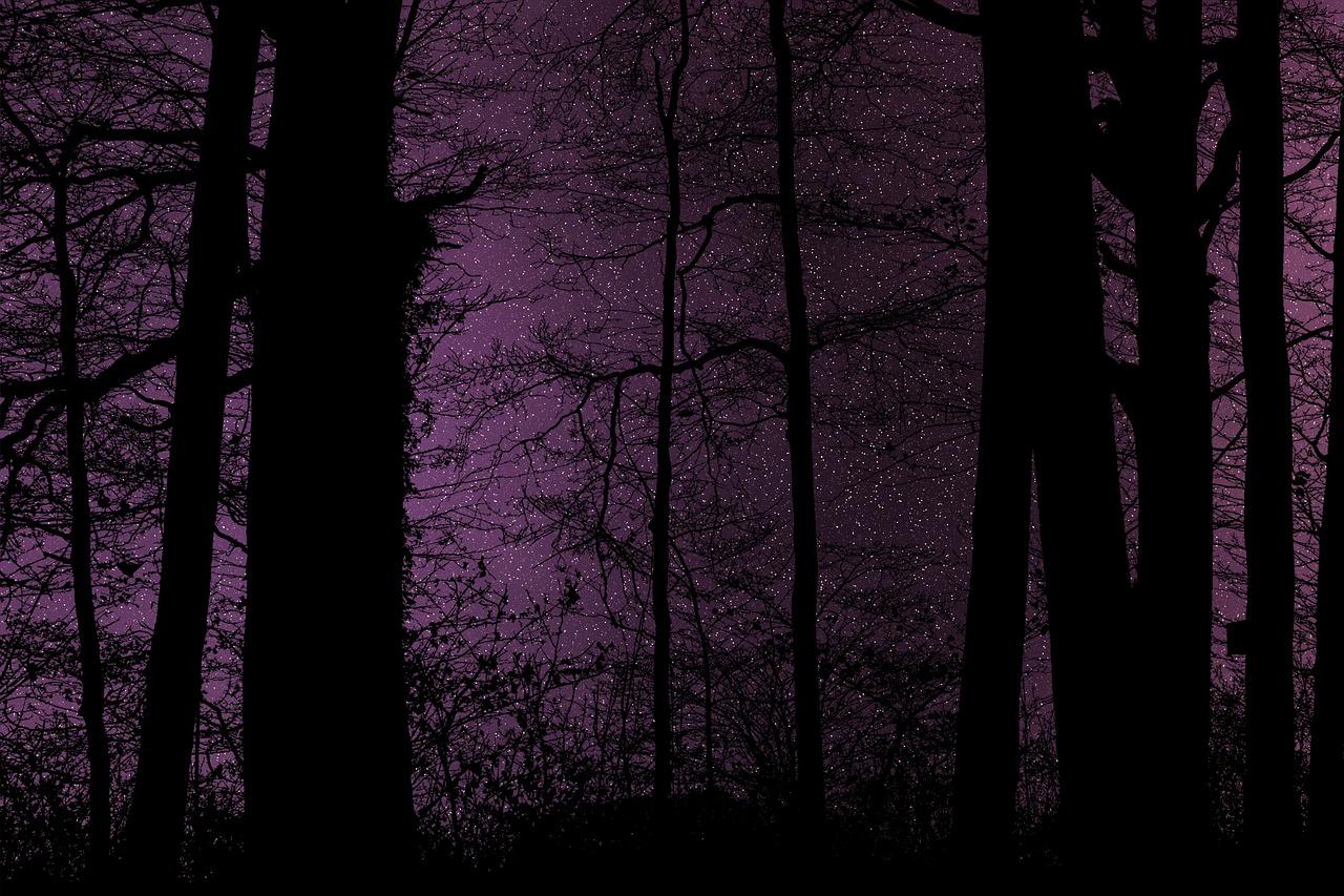 葡萄新城怎么样