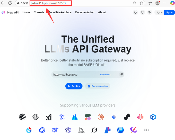 本地部署 AI 资产管理系统 New API 并实现外部访问 - 知乎