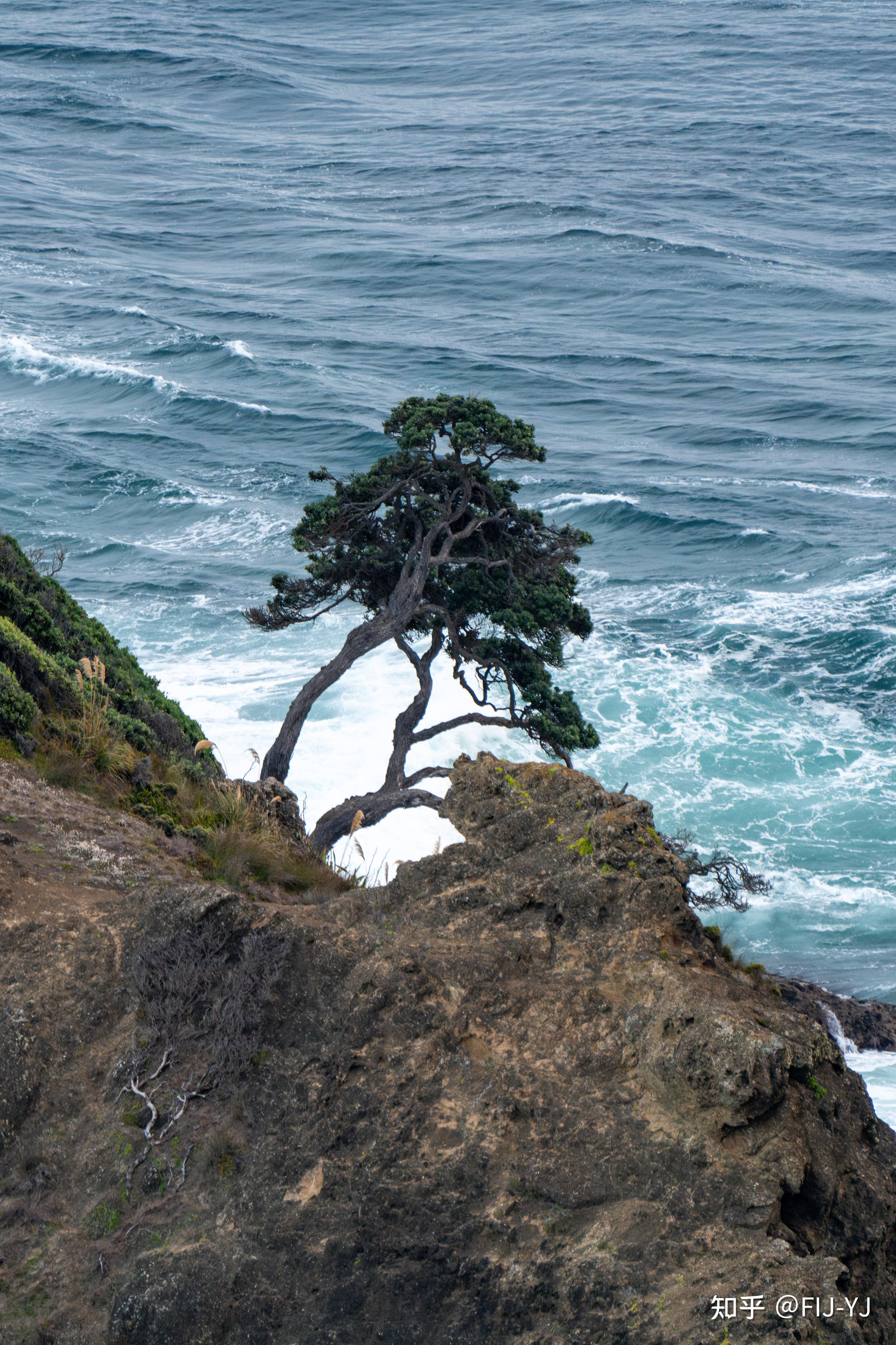 最新的新西兰旅游攻略?谁去过