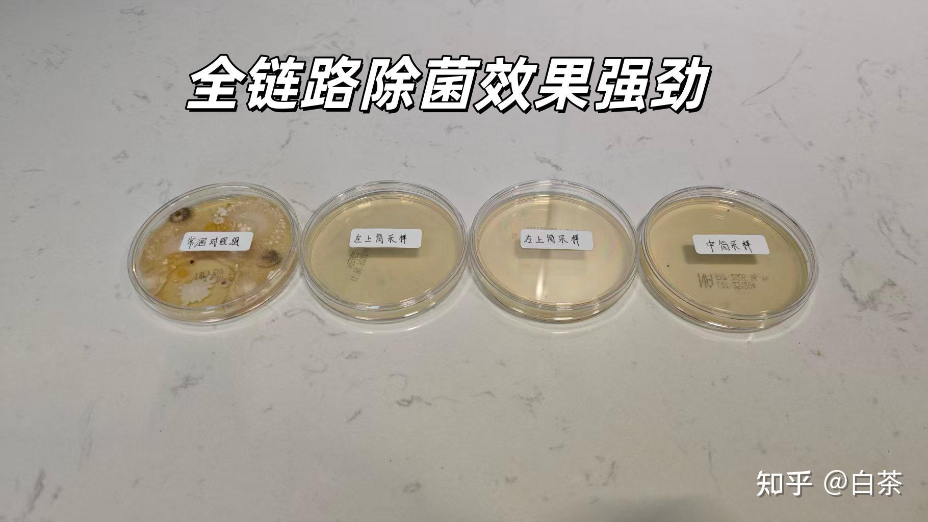 三筒洗衣机是智商税吗?美的可爱多分区洗烘套装全维度实测,内裤袜子专洗到底行不行? - 知乎
