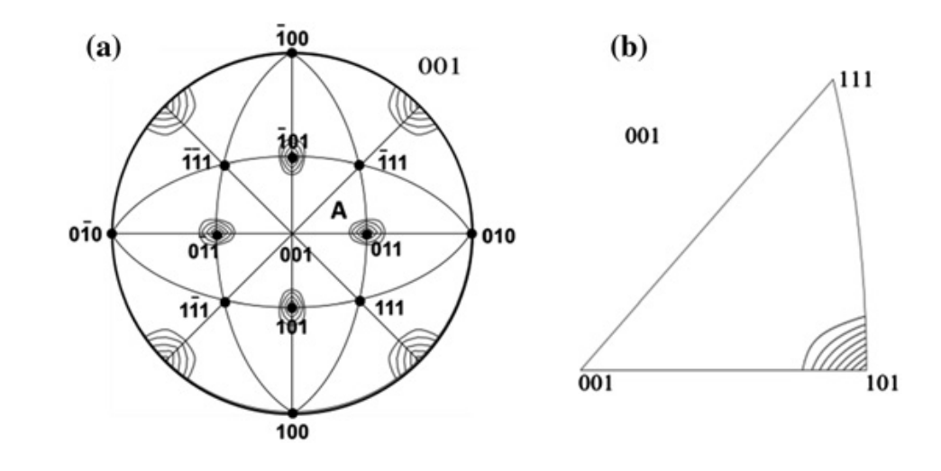 怎样通俗易懂的理解反极图
