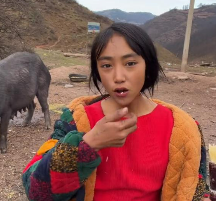 回顾:大凉山女网红背的树是空心的,欺骗粉丝博同情骗取钱财