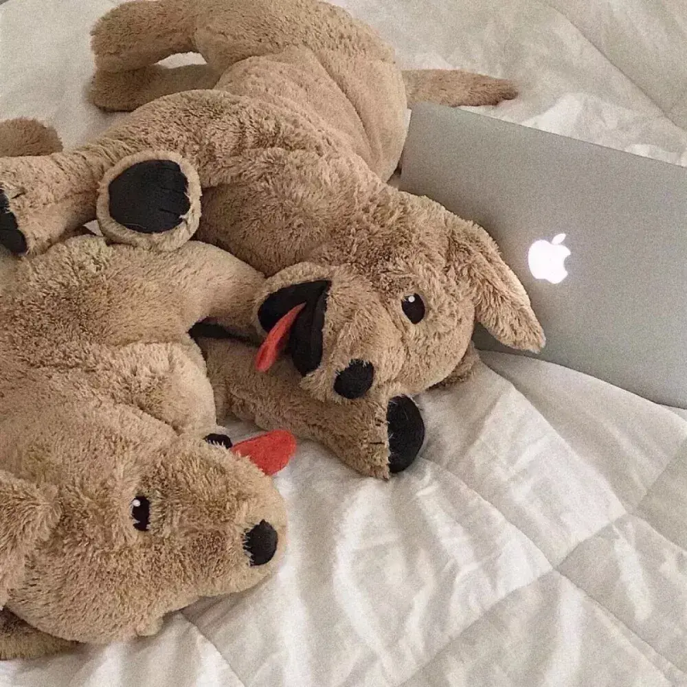 有哪些好看的qq主页背景图